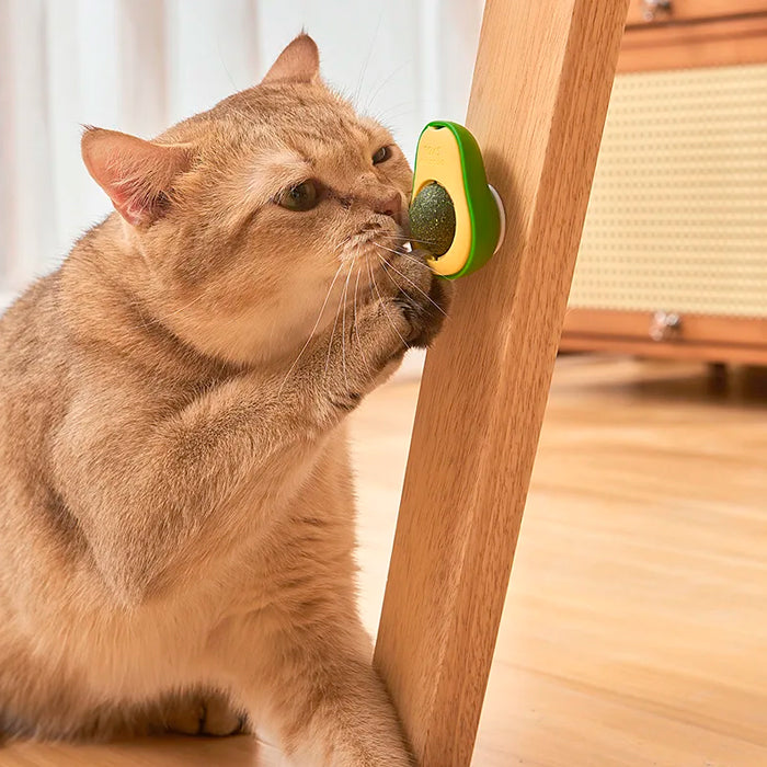 Brinquedo Interativo Abacate com Catnip Erva Natural