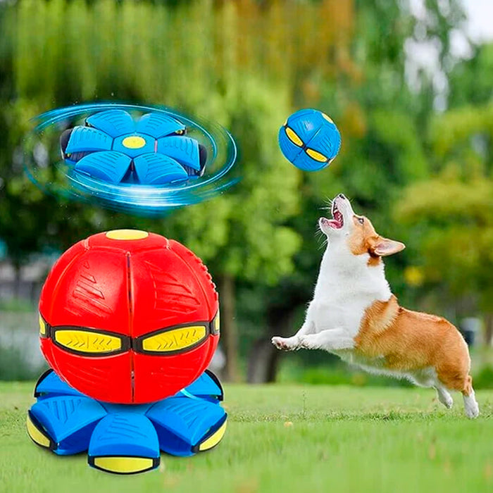 Bola Mágica Disco Voador Flyball para Cães