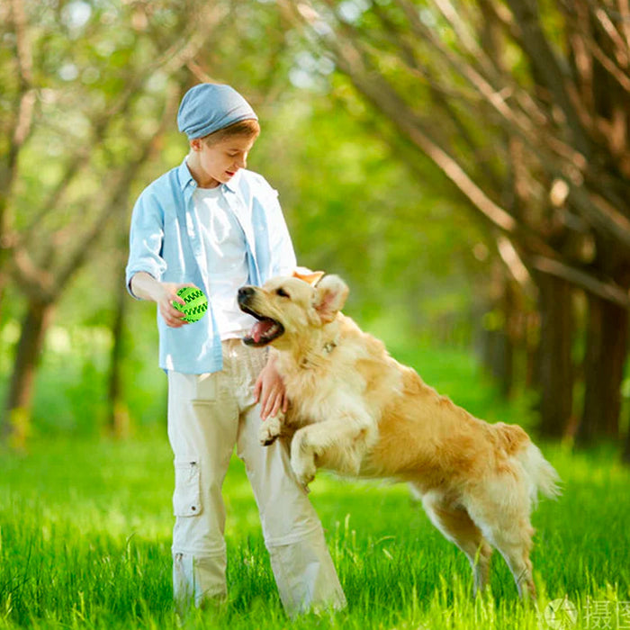 Bolinha Interativa Porta Petisco para Cães