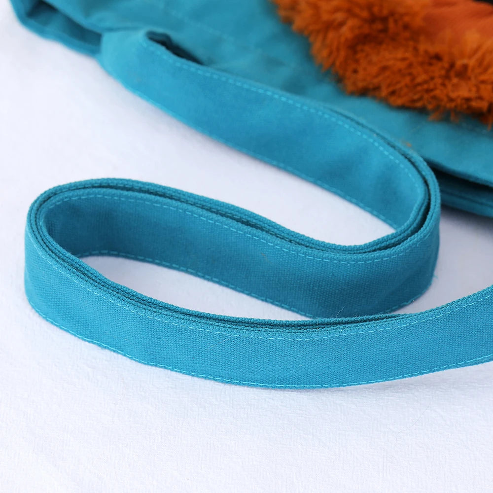 Bolsa Transporte para Gatos Estilo Leãozinho