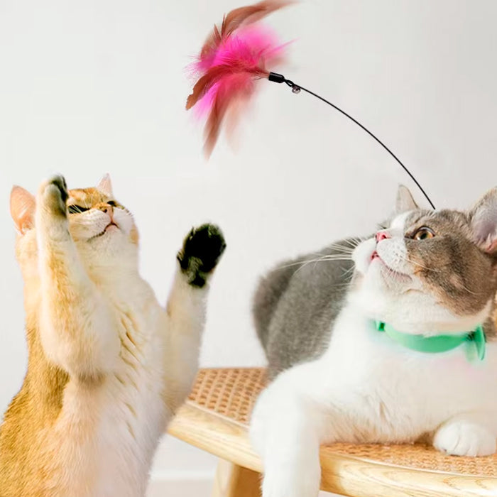 Brinquedo Interativo para Gatos Varinha com Penas