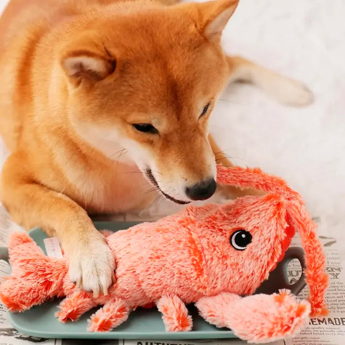 Brinquedo Lagosta Interativo para Pets