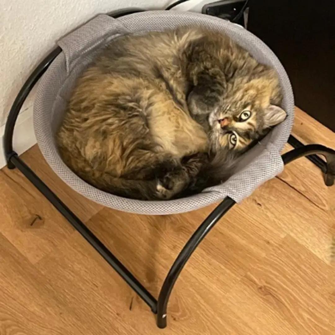 Cama Suspensa PetSky para Gatos e Cães