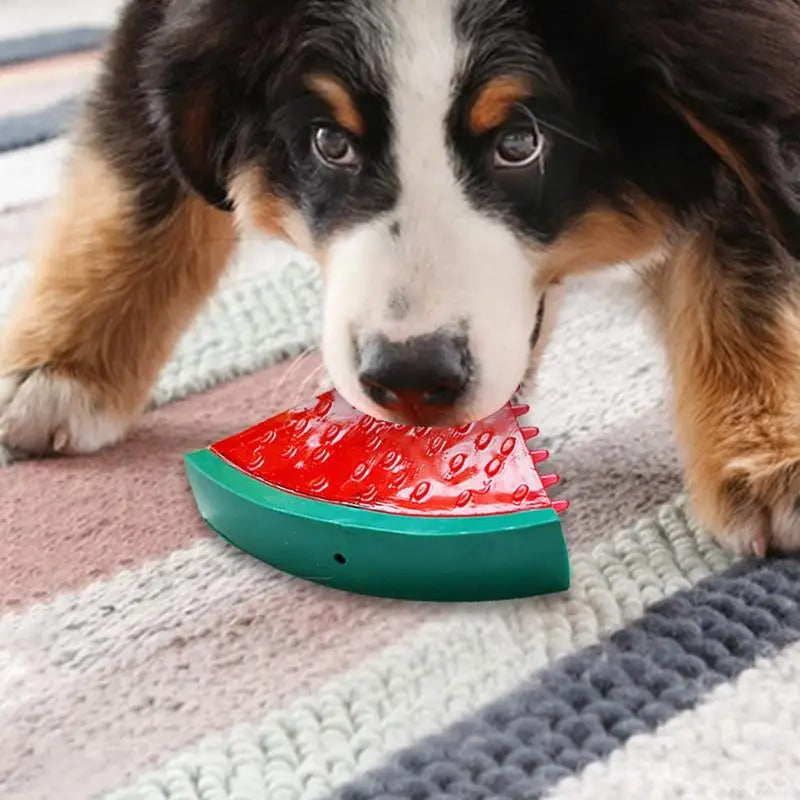 Brinquedo Gelado Fresh para Cachorro