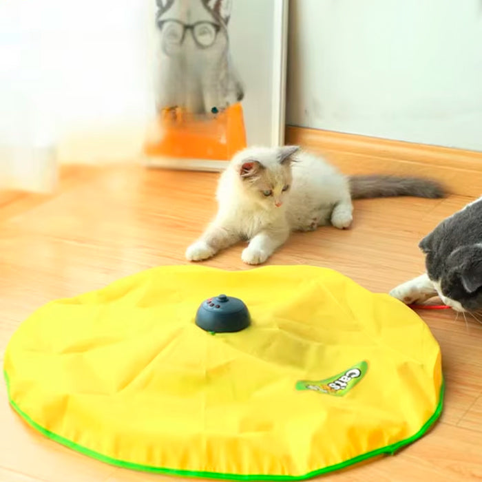 Disco Pet Interativo para Gatos
