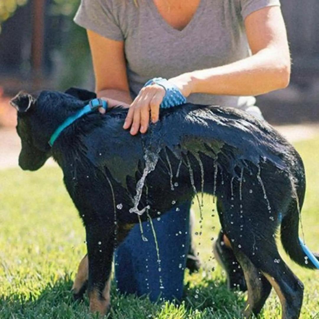 Mangueira Luva Massageadora para Pets AquaSpa