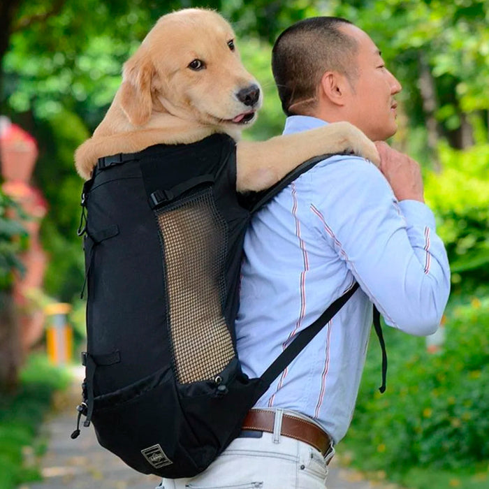 Mochila Canguru para Cachorros Grandes Pet Explorer