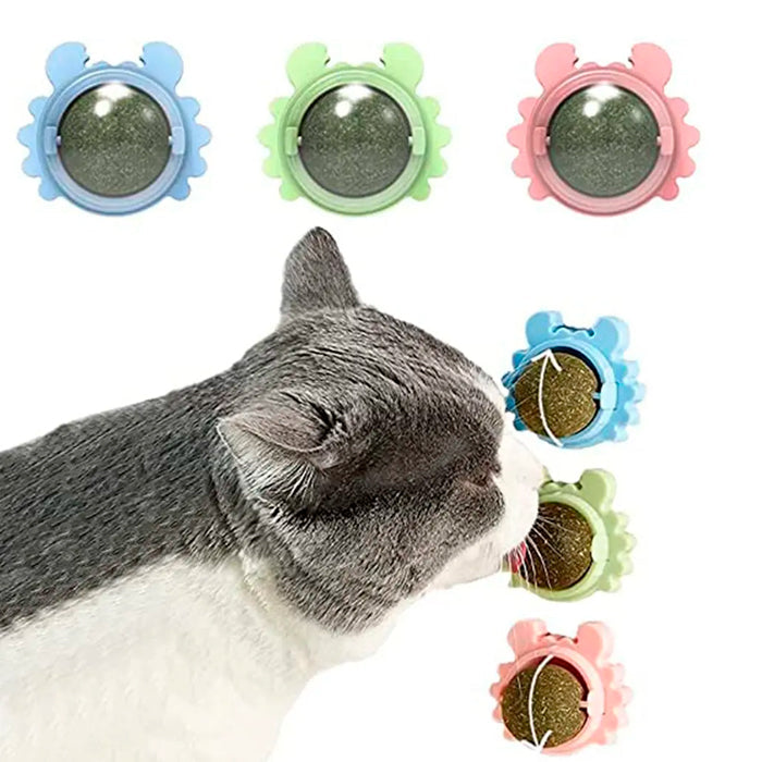 Pet Relax Abacate Rolante