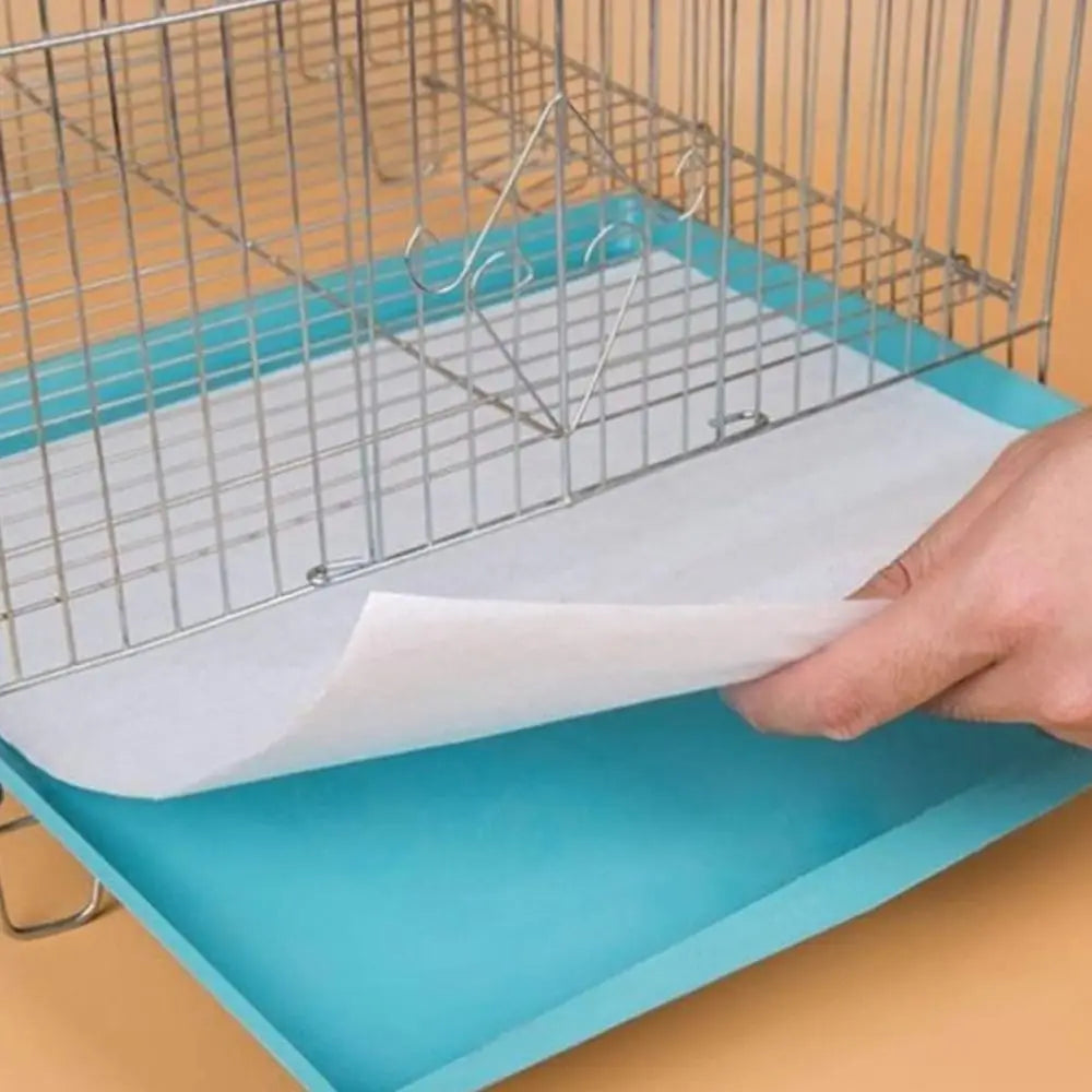 Papel Toalha Pet Ultra Absorvente Zippy