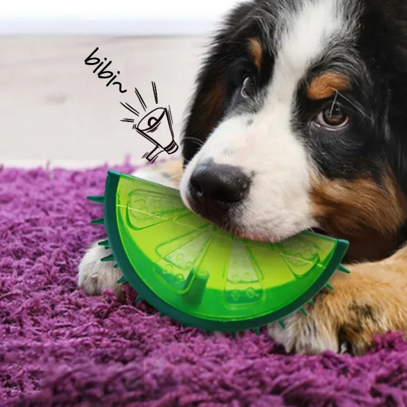 Brinquedo Gelado Fresh para Cachorro