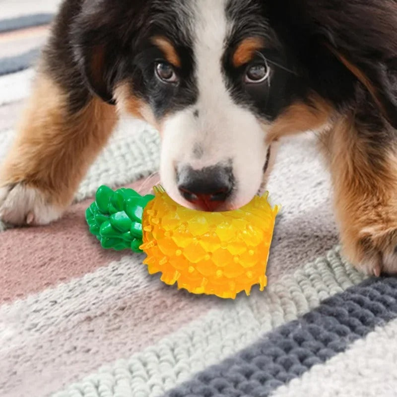 Brinquedo Gelado Fresh para Cachorro