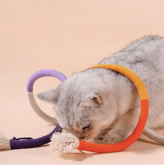 Minhoca de Brincar para Gatos 3 unidades