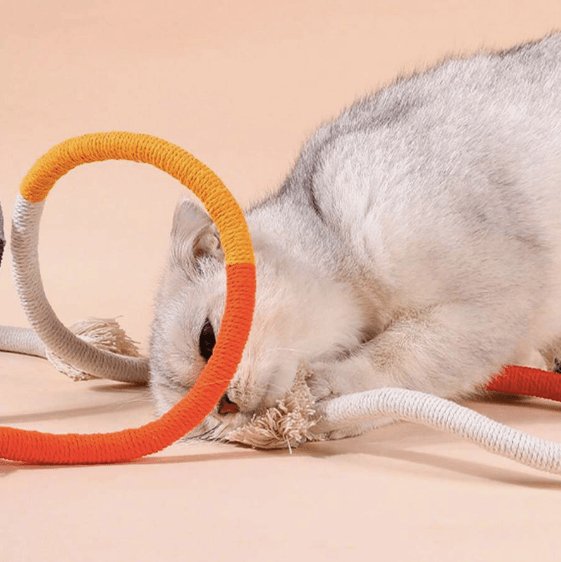 Minhoca de Brincar para Gatos 3 unidades