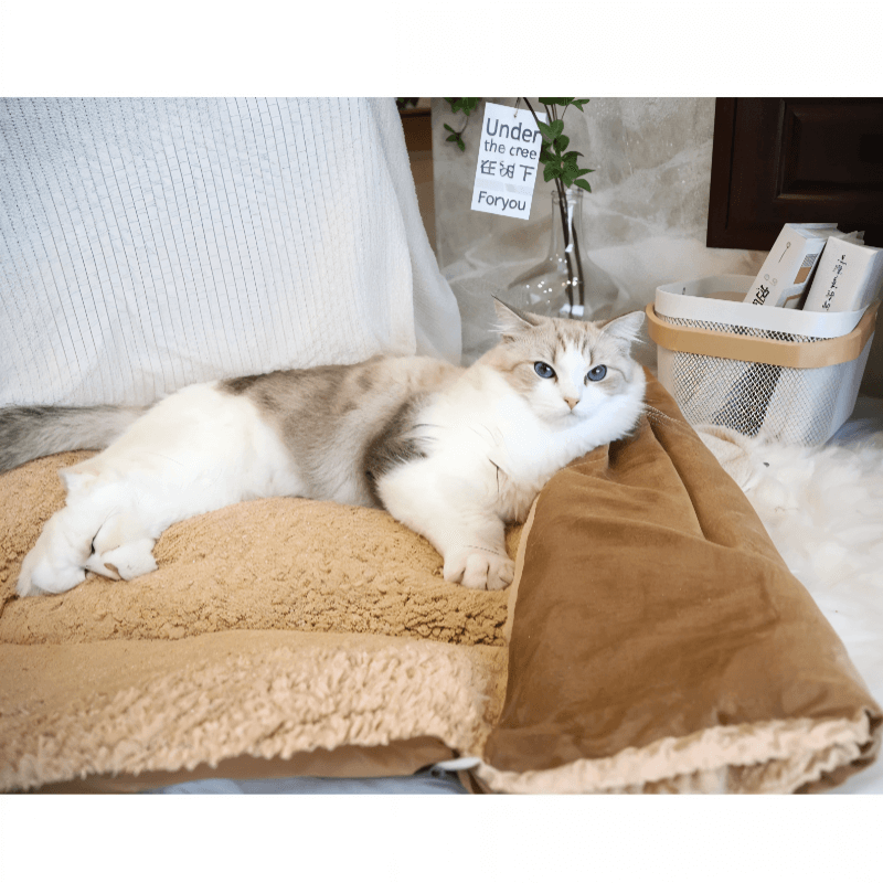 Cama e Tapete para Gatos 2 em 1