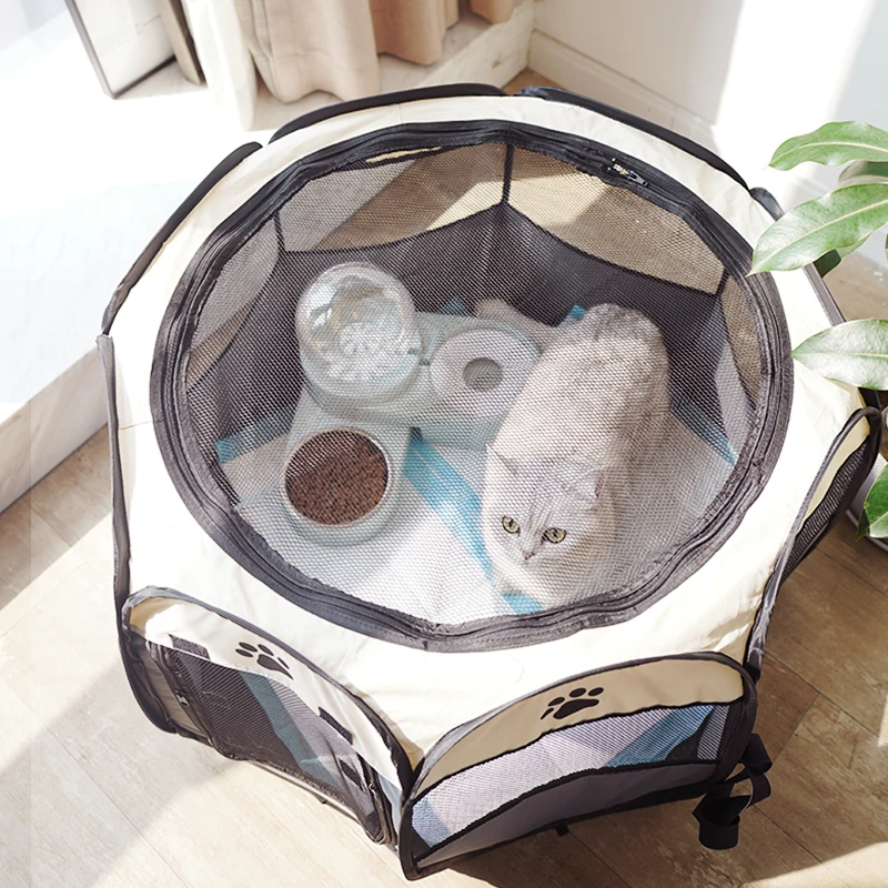 Pet Safe - Casa Dobrável para Gatos e Cachorros