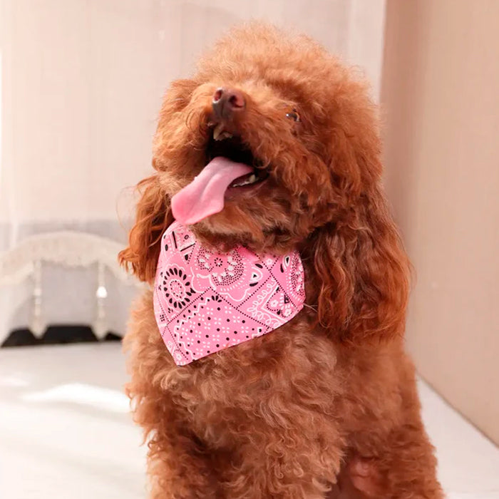 Bandana Pet Ajustável PetStyle