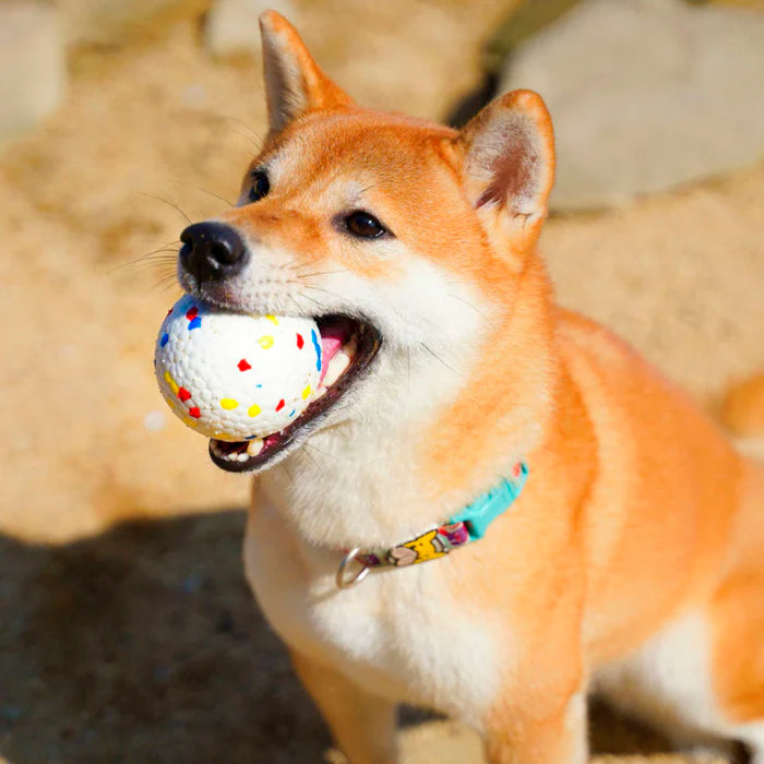 Bola Resistente e Maciça para Cachorros