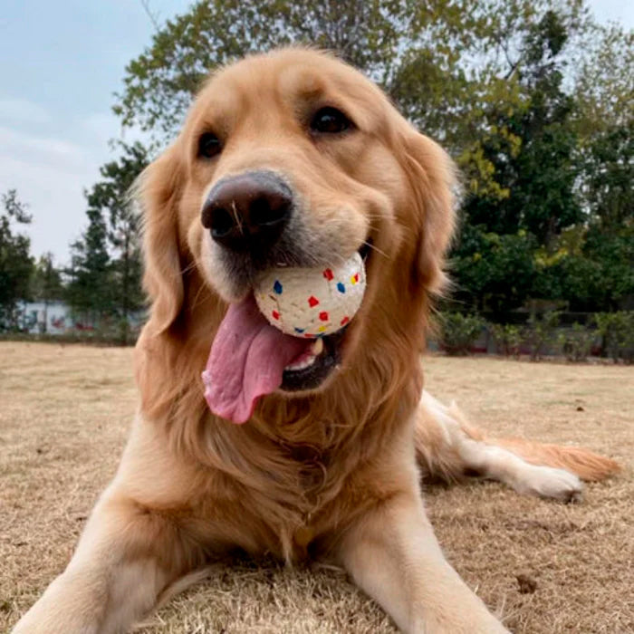Bola Resistente e Maciça para Cachorros
