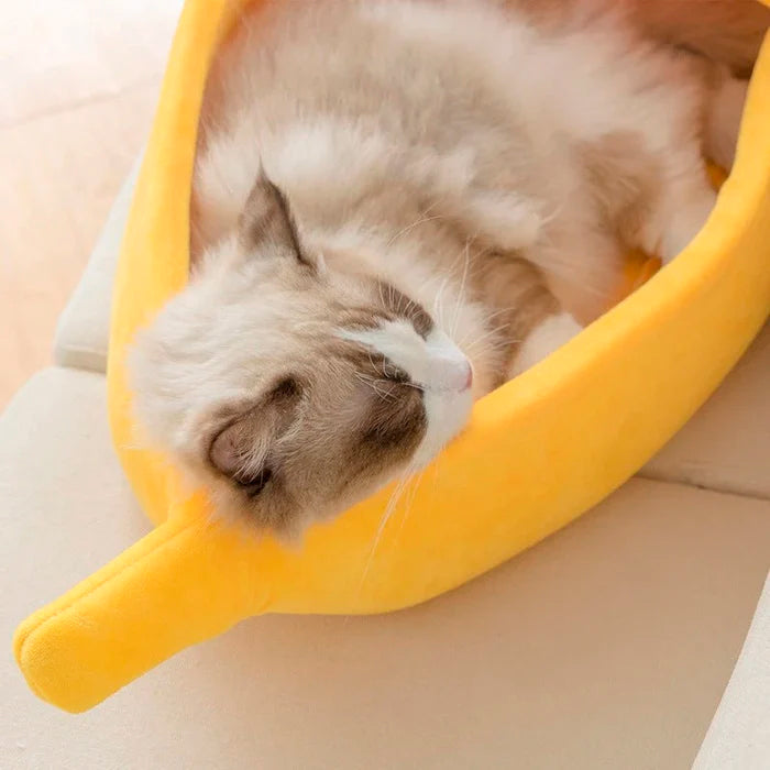 Cama Casinha Banana para Gatos RonCat