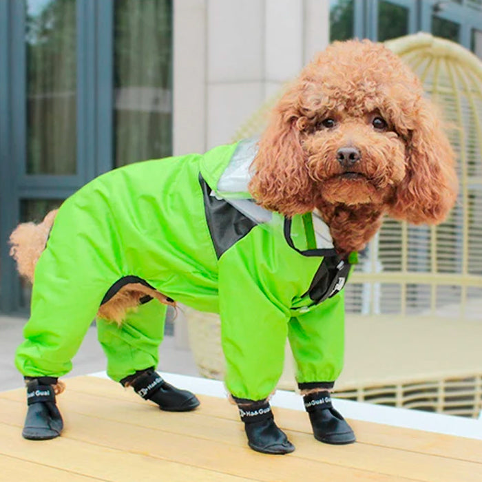 Capa de Chuva Impermeável para Cachorro