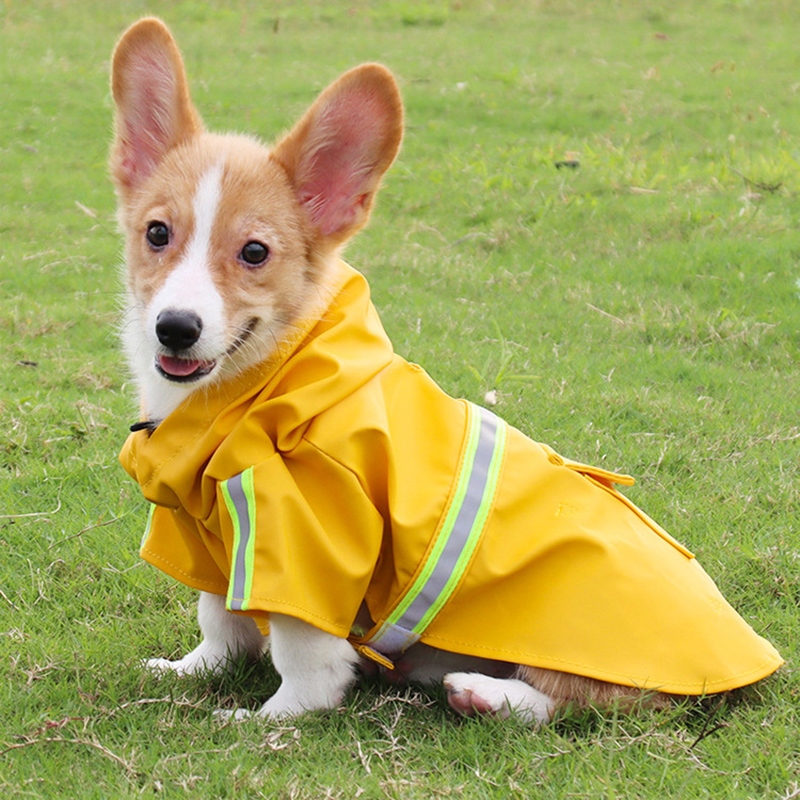 Capa de Chuva Pet Impermeável Faixa Refletiva DryPe