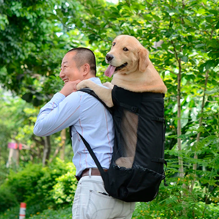 Mochila Canguru para Cachorros Grandes Pet Explorer