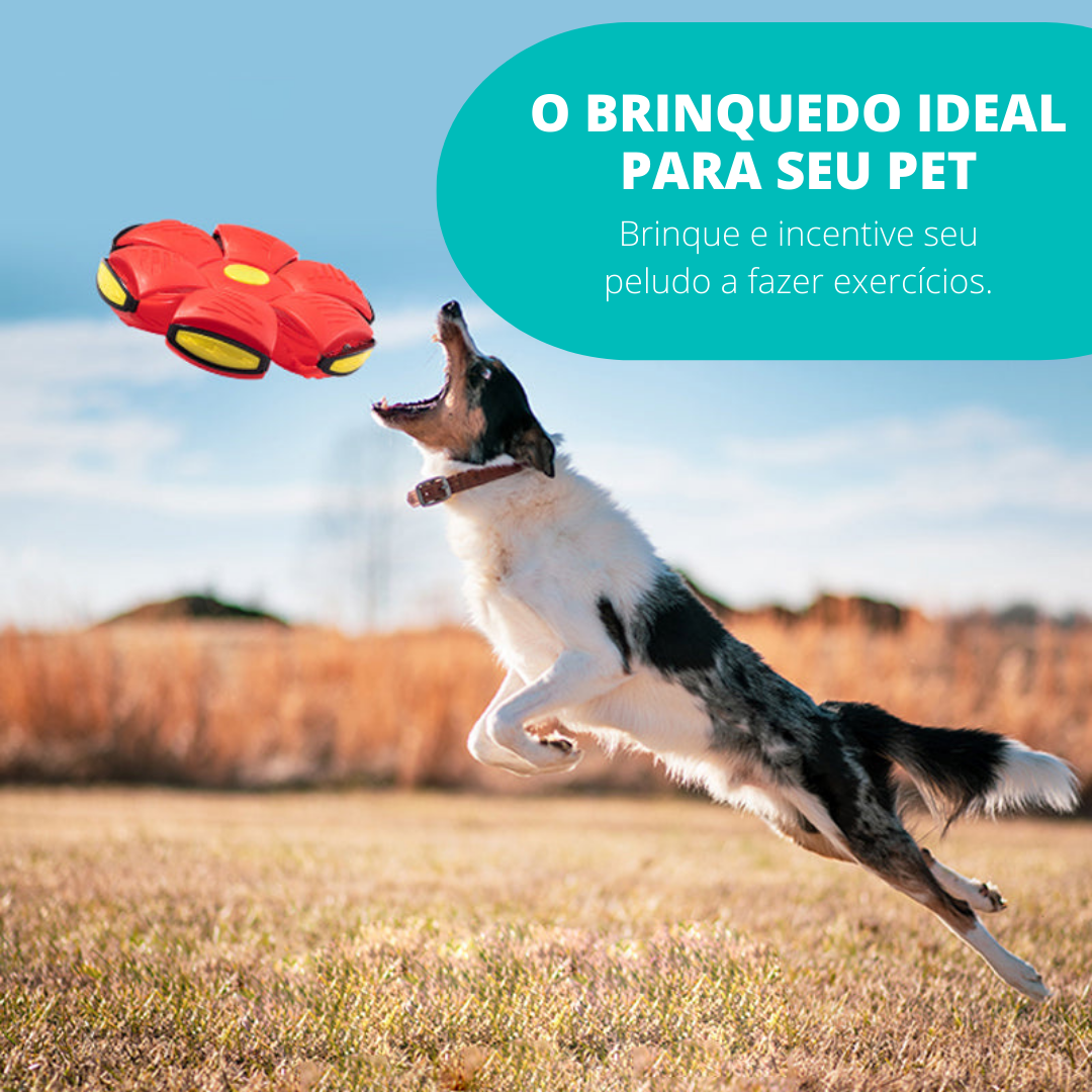 Discoteca Bola Inflável 16cm Mágico Voador