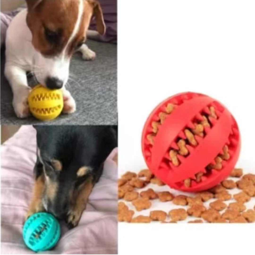 Pet Ball™ – Bola Mordedora Multifuncional | Escova Dental + Porta Petisco 🐶🦷 [LEVE 3 E ECONOMIZE]