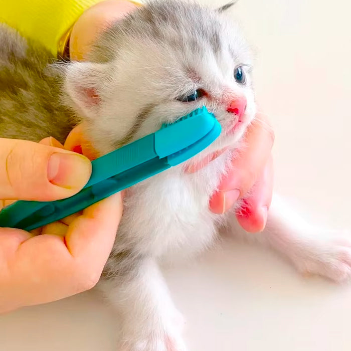 Pente de Silicone para Limpeza Olhos do Gato