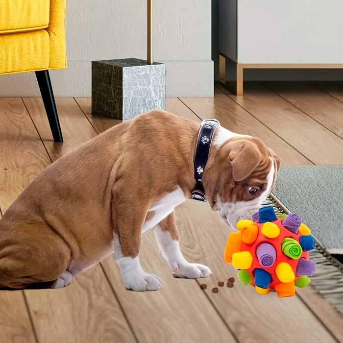 Petisco Pet Bola Interativa