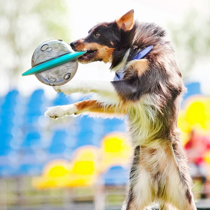 Petisqueira Interativa para Pets com Dispenser de Ração