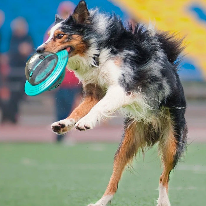 Petisqueira Interativa para Pets com Dispenser de Ração