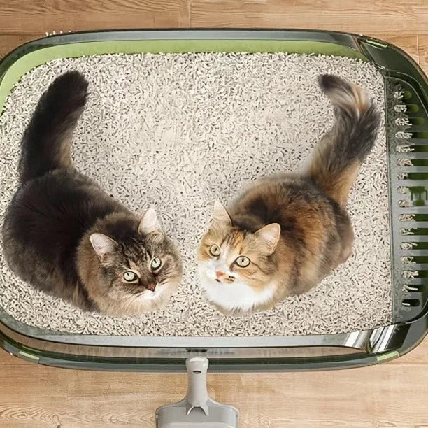 Caixa de Areia para Gatos Areux