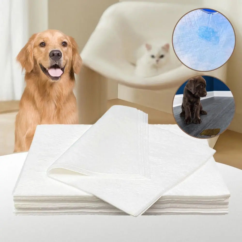 Papel Toalha Pet Ultra Absorvente Zippy