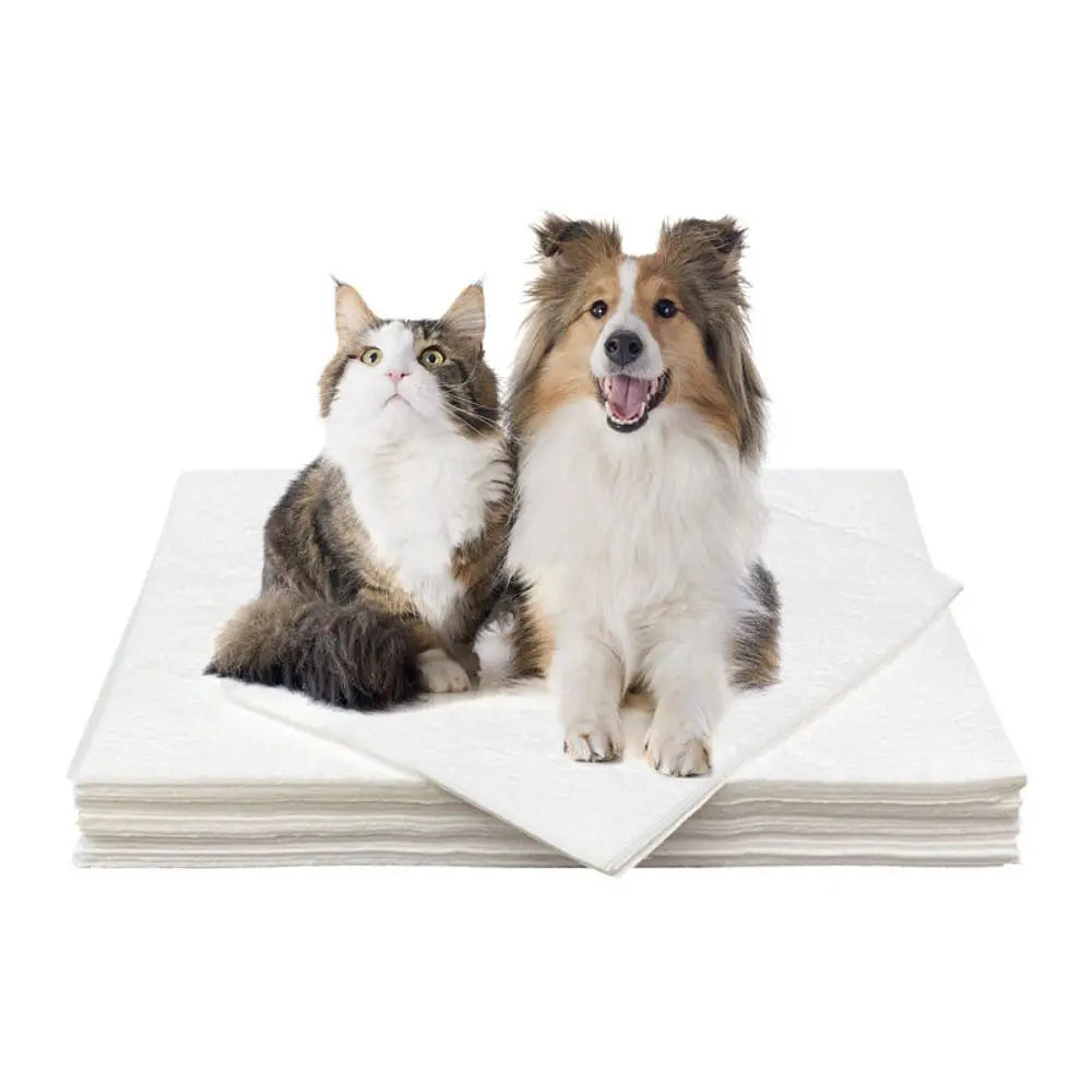 Papel Toalha Pet Ultra Absorvente Zippy