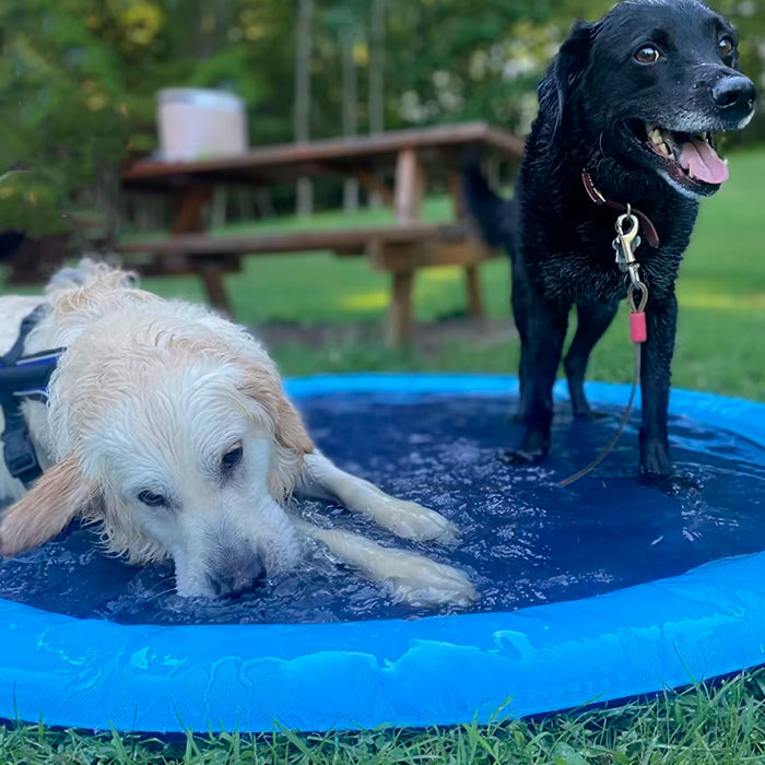Tapete Aquático Pet Splash Pool